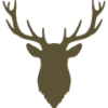 deer3